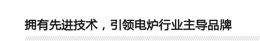 擁有先進技術，引領電爐行業主導品牌
